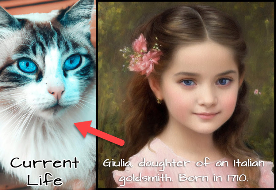 Giulia - Past Life Cat example 6