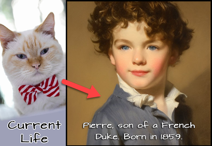 Micky-Pierre - Cat Past Life Example 2 as a boy