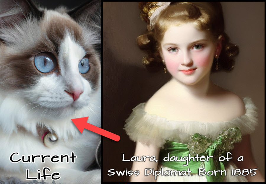 Misty-Laura - Cat Past Life Example 5