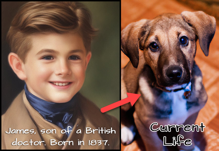 Rocky - Past Life Dog 1 as a human child